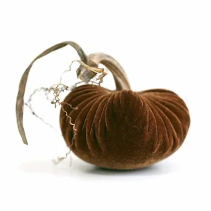 Acorn Velvet Pumpkin - 6" Tall To 8" Tall>Roger's Gardens Cheap