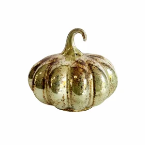 Champagne Copper Pumpkin - 5