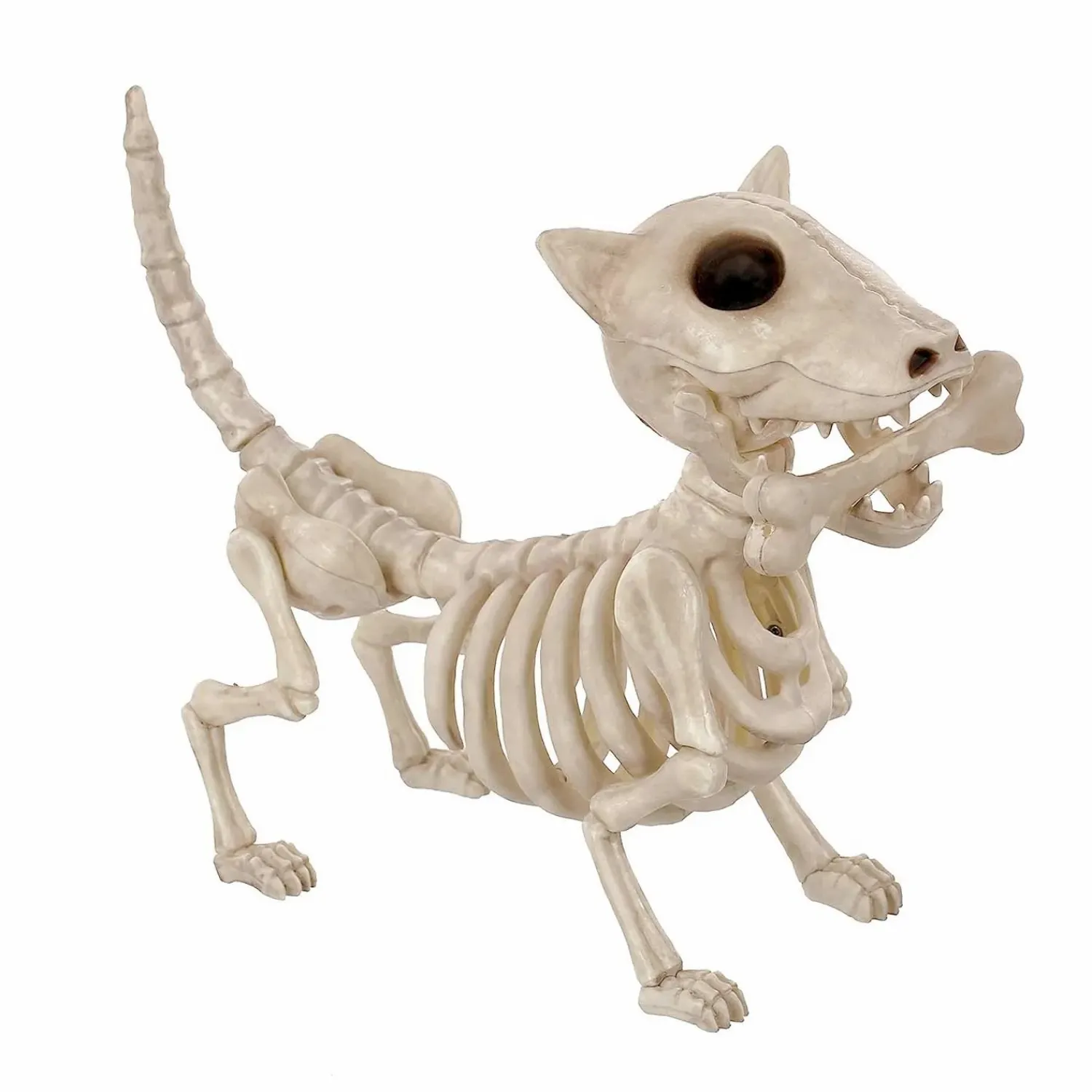 digger_the_skeleton_dog___tall_0.webp Digger The Skeleton Dog - 11" Tall>Roger's Gardens Store