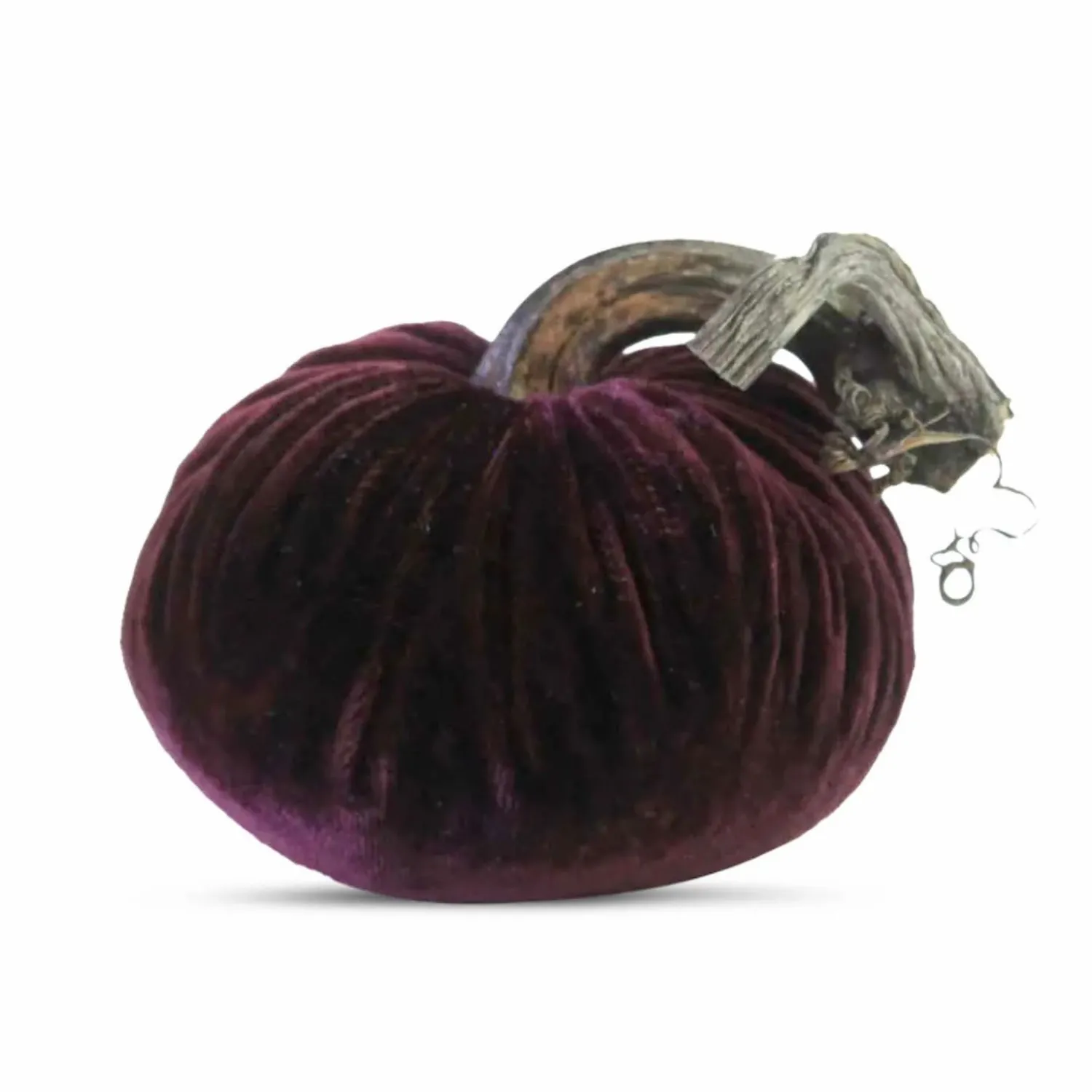 eggplant_velvet_pumpkin___tall_to__tall_0.webp Eggplant Velvet Pumpkin - 6" Tall To 8" Tall>Roger's Gardens Store