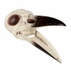 Evil Raven Skull - 8.75" X 3.5" X 3.5">Roger's Gardens Cheap