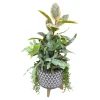 Foliage In Large Grey Aztec Planter>Roger's Gardens Online