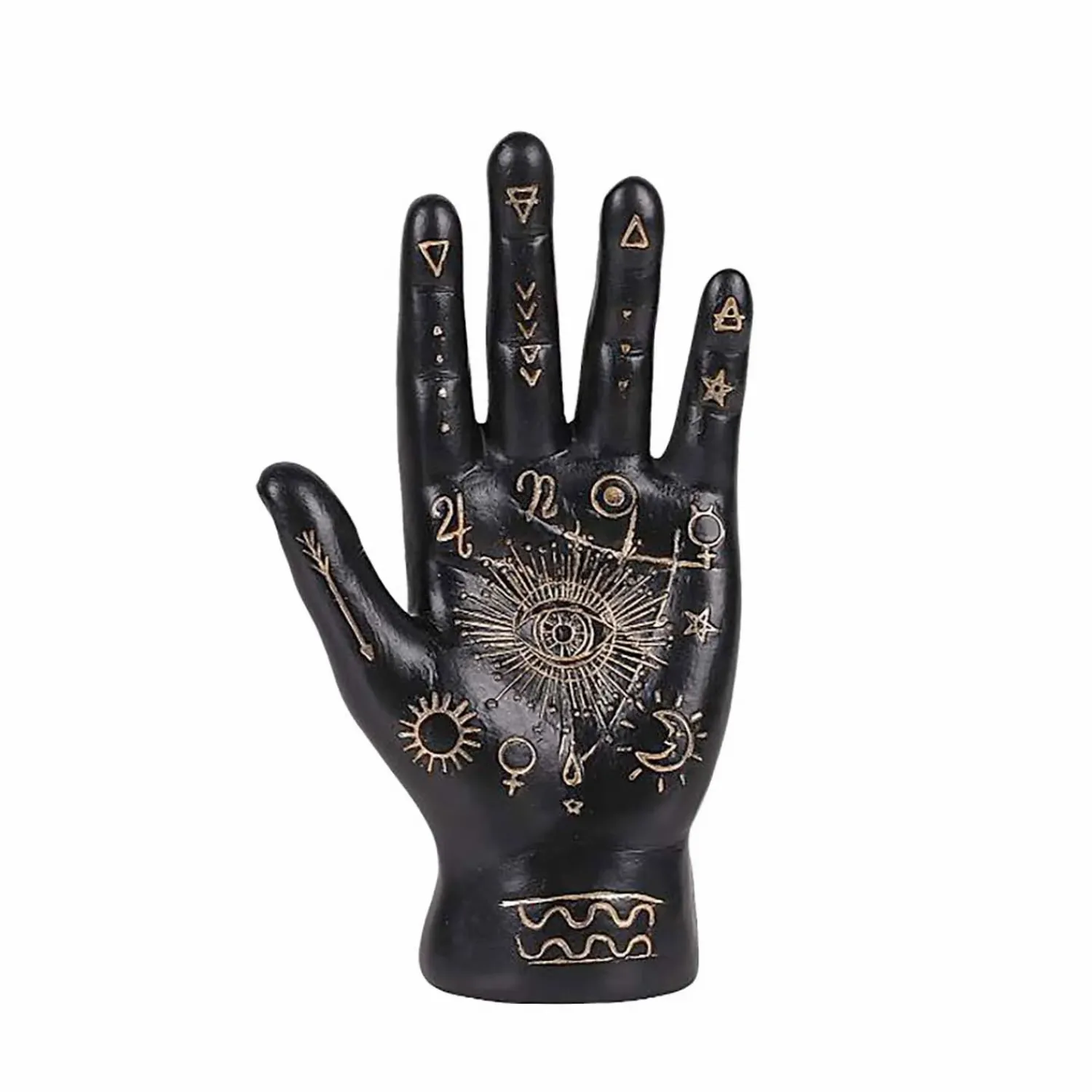 fortune_tellers_palm__black___tall_0.webp Fortune Teller's Palm - Black - 7" Tall>Roger's Gardens New