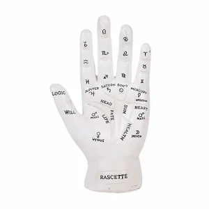 Fortune Teller's Palm - White - 7" Tall>Roger's Gardens Cheap