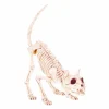Lil Kitty Bonez - 7" Tall>Roger's Gardens New