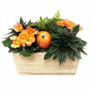 Medium Traditional Fall Living Centerpiece>Roger's Gardens Shop