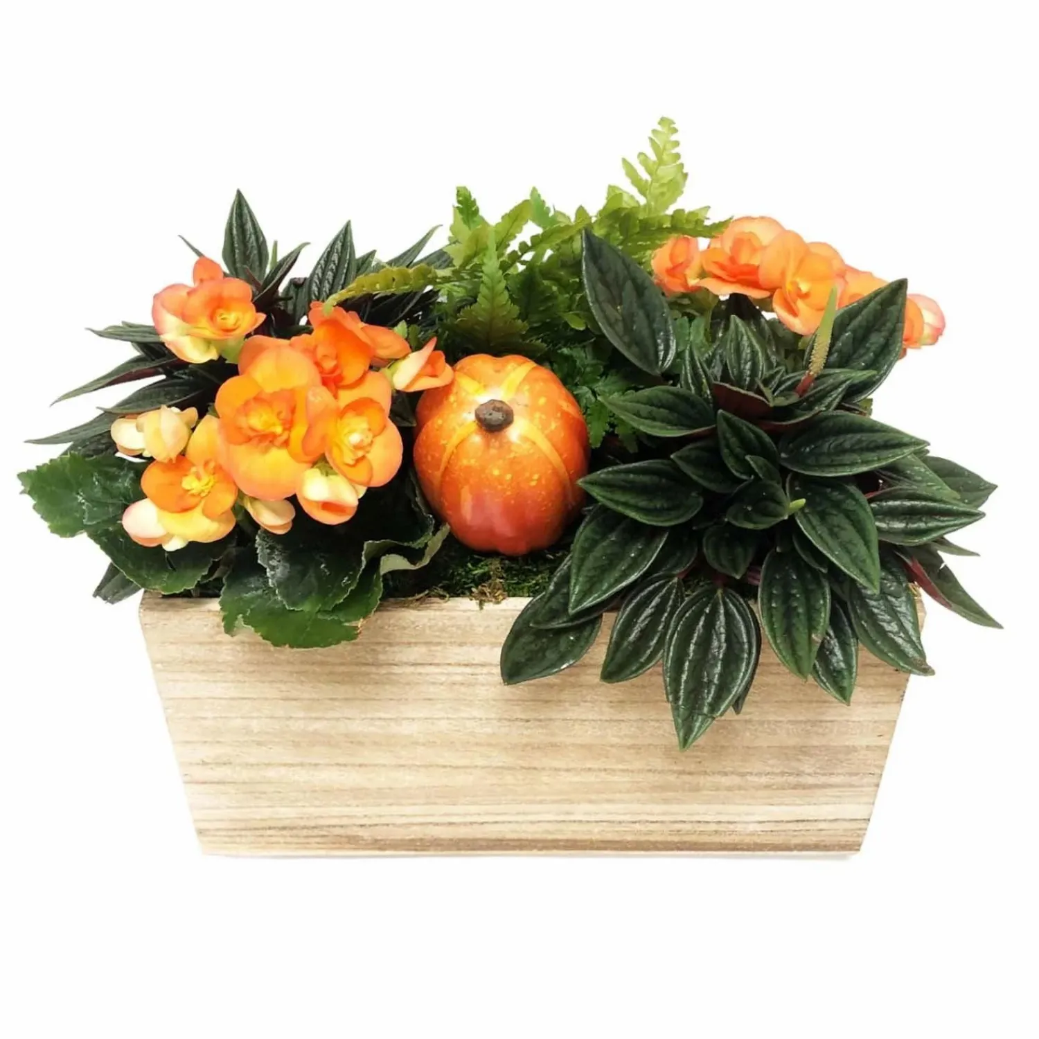 medium_traditional_fall_living_centerpiece_0.webp Medium Traditional Fall Living Centerpiece>Roger's Gardens Sale