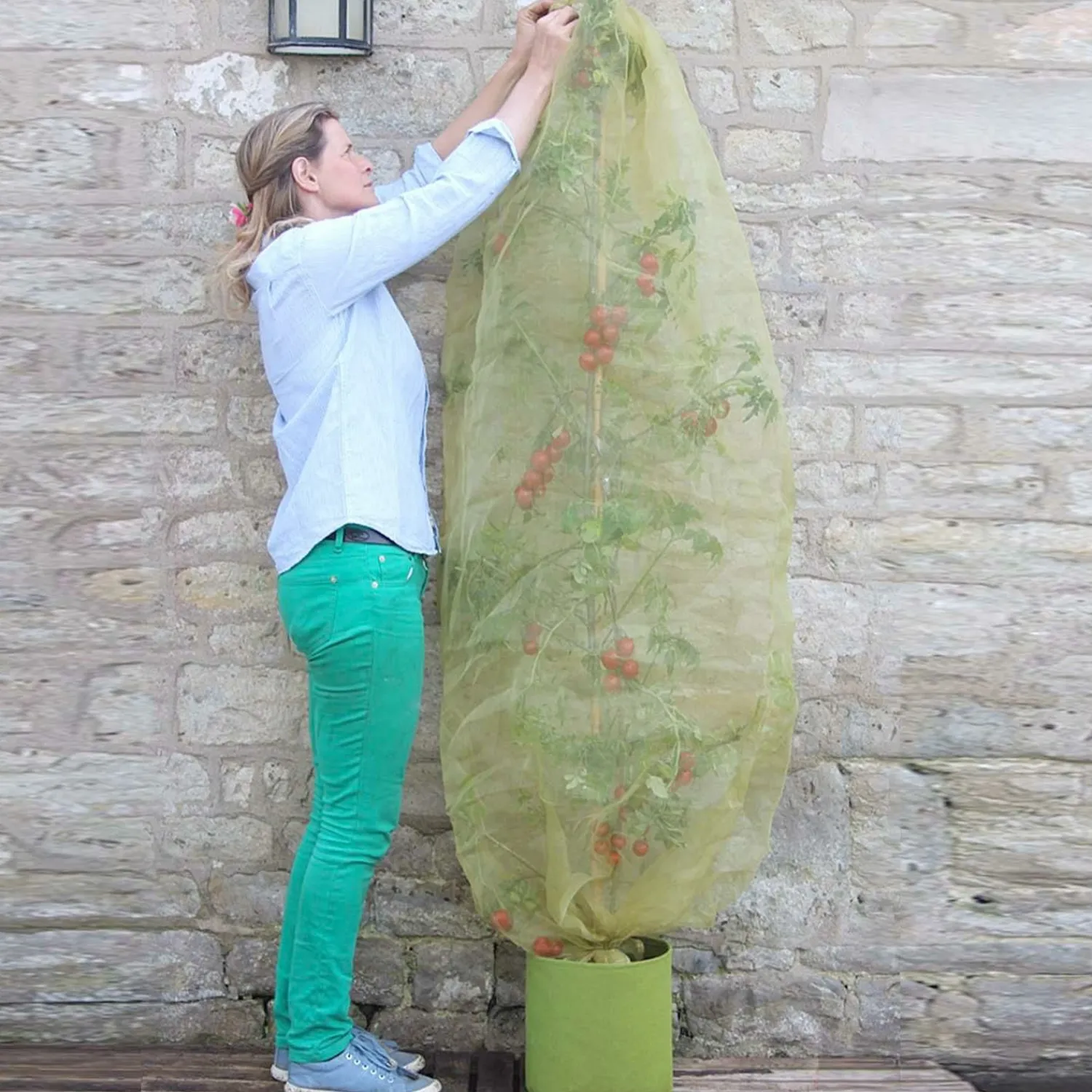 micromesh_tomato_tube___tall_0.webp Micromesh Tomato Tube - 80" Tall>Roger's Gardens Hot