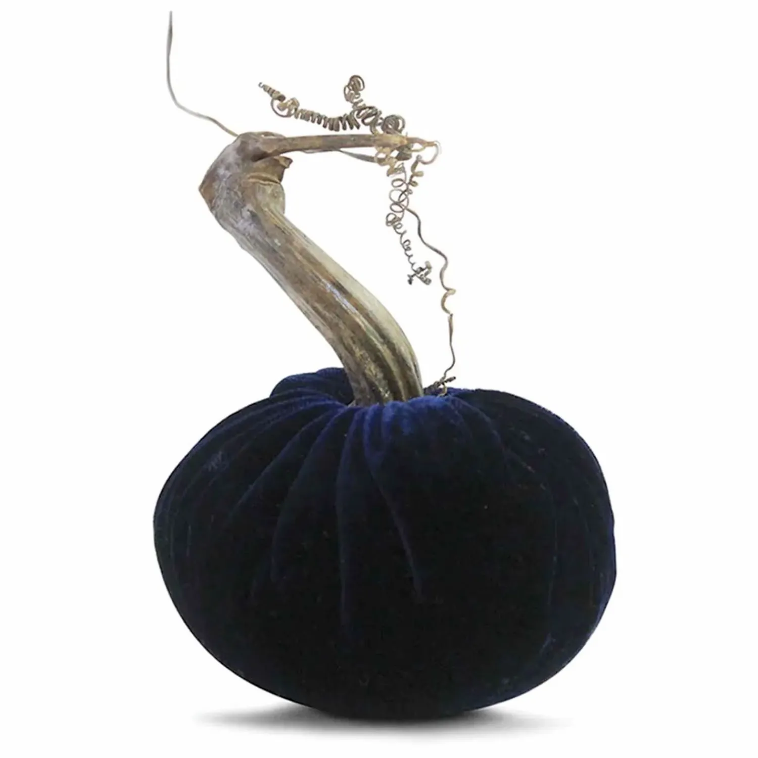 navy_velvet_pumpkin___tall_to__tall_0-1.webp Navy Velvet Pumpkin - 6" Tall To 8" Tall>Roger's Gardens Hot