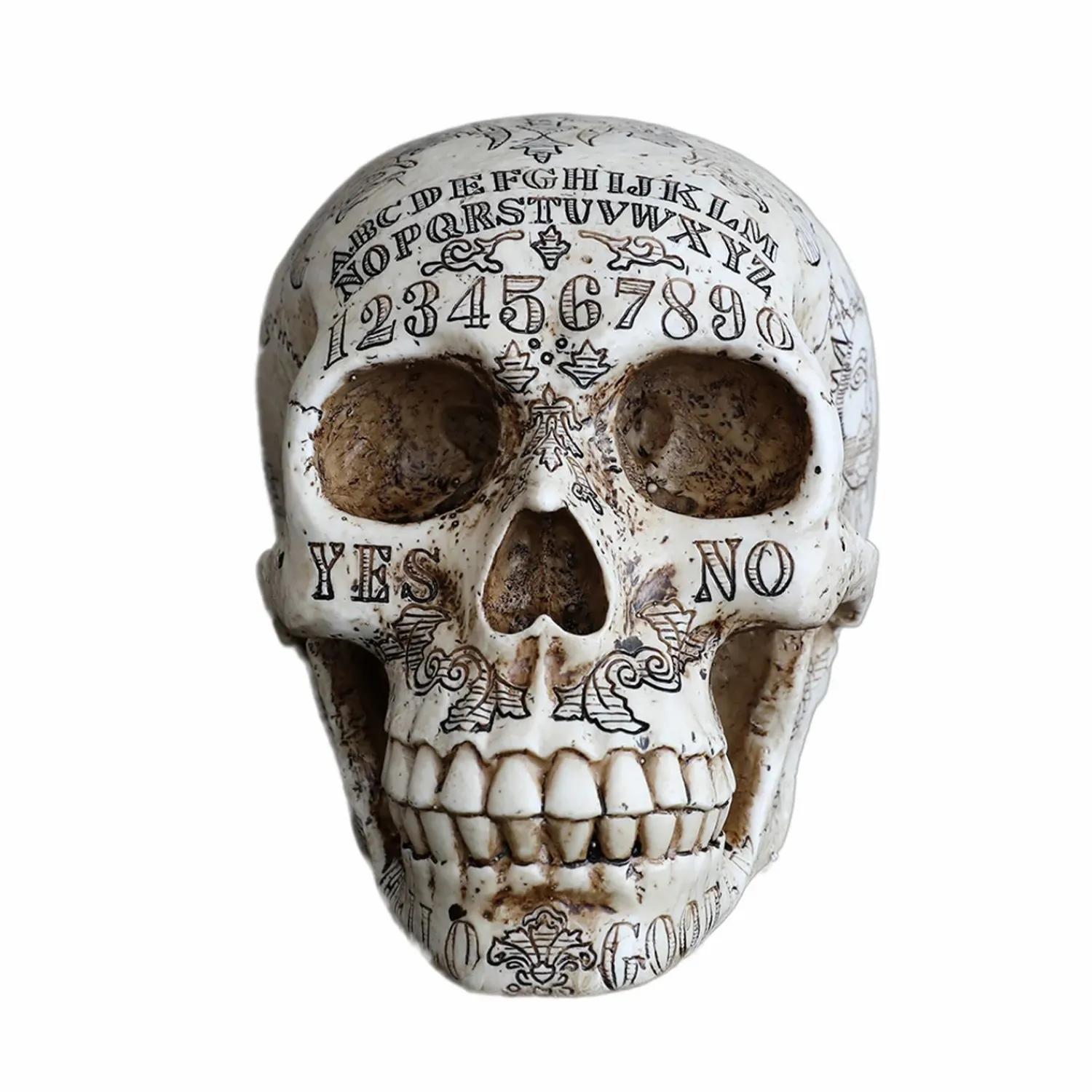 ouija_skull___tall_0.webp Ouija Skull - 6.25" Tall>Roger's Gardens Best Sale