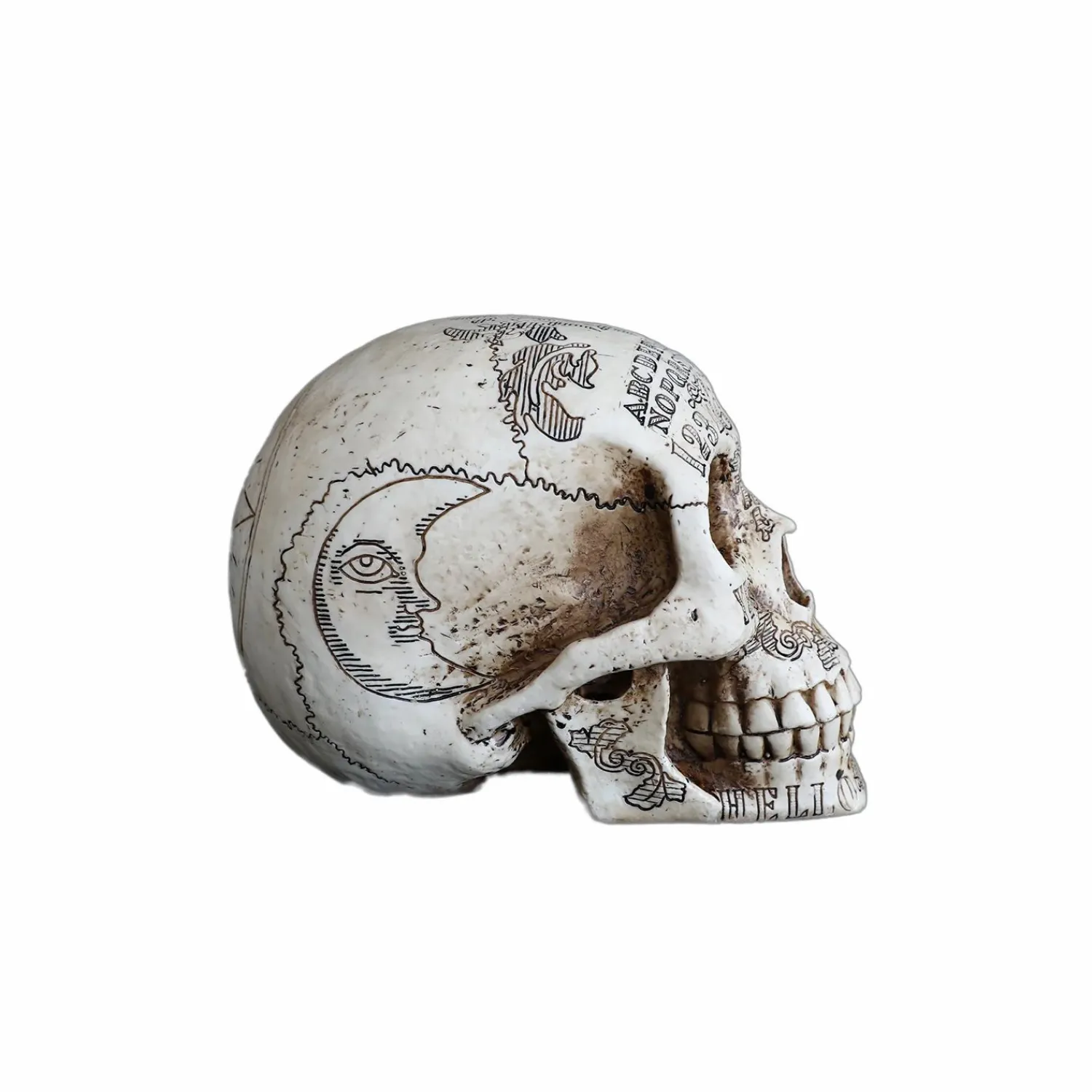 ouija_skull___tall_1.webp Ouija Skull - 6.25" Tall>Roger's Gardens Best Sale