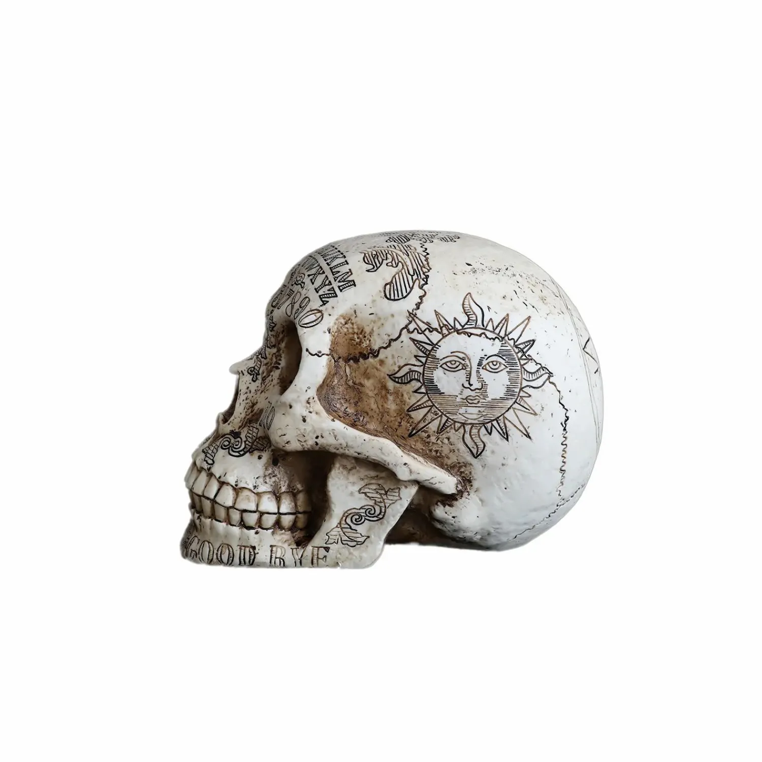 ouija_skull___tall_2.webp Ouija Skull - 6.25" Tall>Roger's Gardens Best Sale