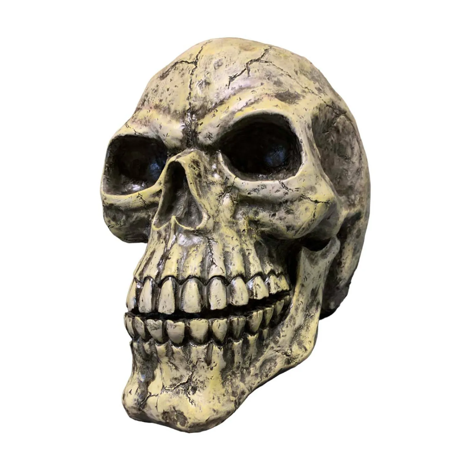 oversized_skull___tall_1.webp Oversized Skull - 14" Tall>Roger's Gardens Flash Sale