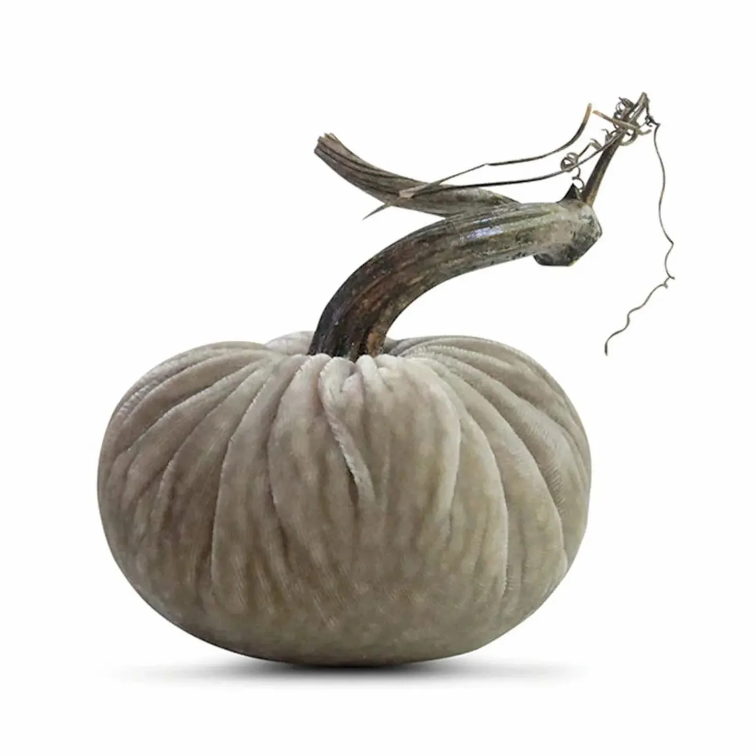 putty_velvet_pumpkin___tall_to__tall_0-1.webp Putty Velvet Pumpkin - 6" Tall To 13" Tall>Roger's Gardens Flash Sale