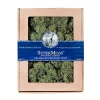 Reindeer Moss - Basil Color - 8Oz>Roger's Gardens Cheap