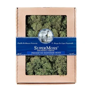 Reindeer Moss - Basil Color - 8Oz>Roger's Gardens Cheap