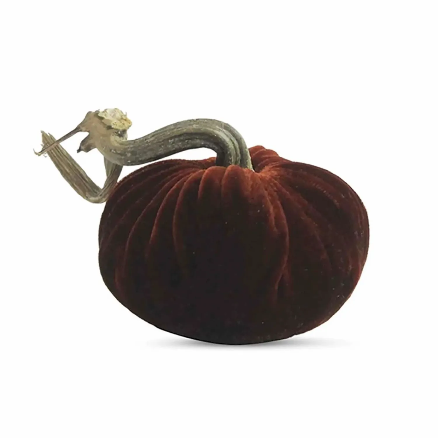 saffron_velvet_pumpkin___tall_to__tall_0.webp Saffron Velvet Pumpkin - 6" Tall To 13" Tall>Roger's Gardens Outlet
