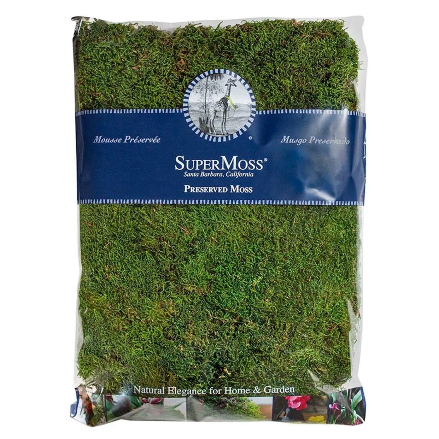 sheet_moss__oz_0-1.webp Sheet Moss - 8Oz>Roger's Gardens New