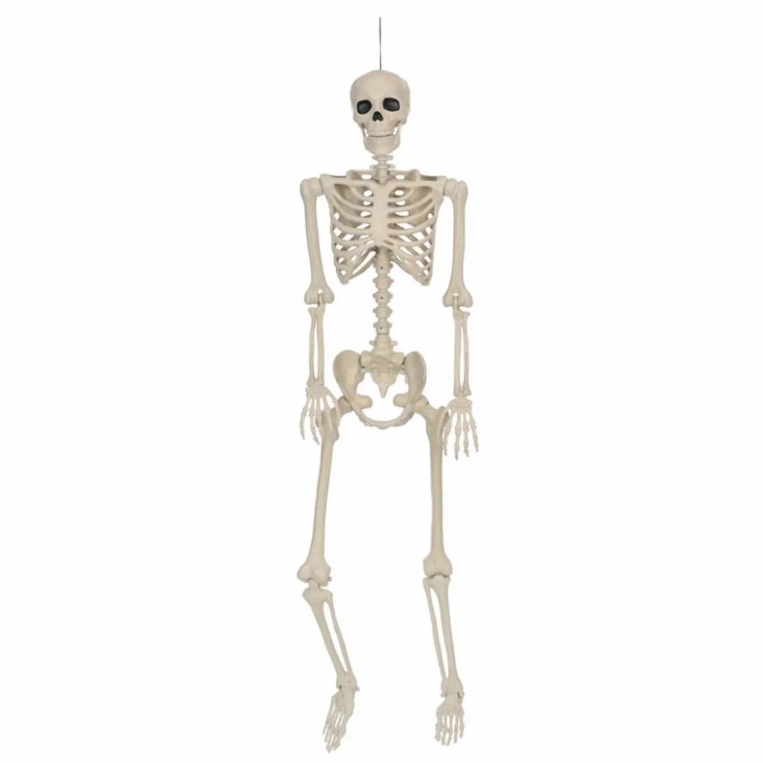 skeleton___tall_0.webp Skeleton - 36" Tall>Roger's Gardens Cheap