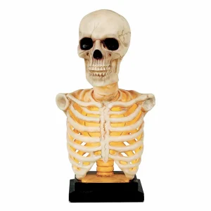 Skeleton Bust Statue With Light And Sound - 16" Tall>Roger's Gardens Best