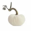 Snow Velvet Pumpkin - 6" Tall To 8" Tall>Roger's Gardens New