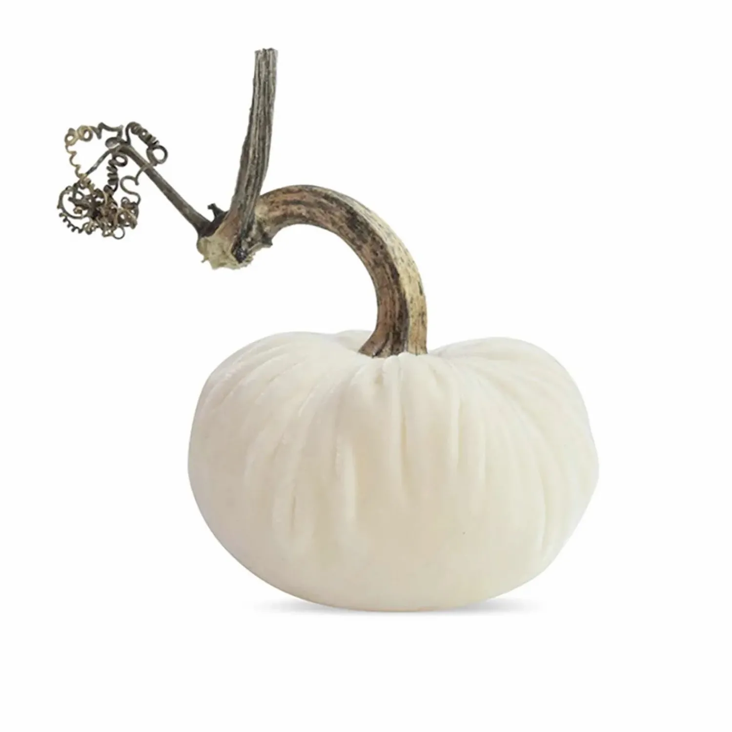 snow_velvet_pumpkin___tall_to__tall_0.webp Snow Velvet Pumpkin - 6" Tall To 8" Tall>Roger's Gardens New