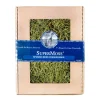 Spanish Moss - Chartreuse Color - 120 Cu. In.>Roger's Gardens Best