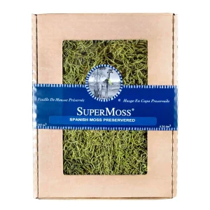 Spanish Moss - Chartreuse Color - 120 Cu. In.>Roger's Gardens Best