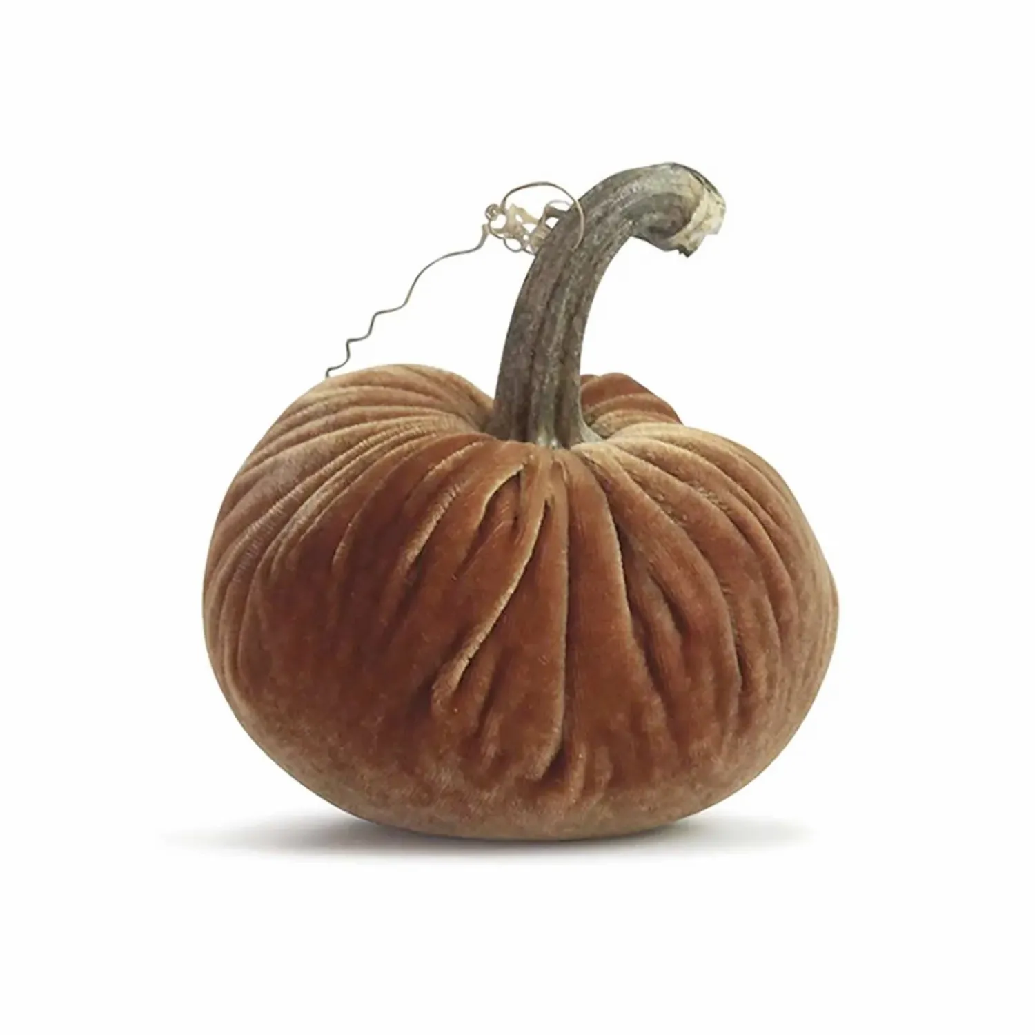 spice_velvet_pumpkin___tal_lto__tall_0.webp Spice Velvet Pumpkin - 6" Tal Lto 8" Tall>Roger's Gardens Best