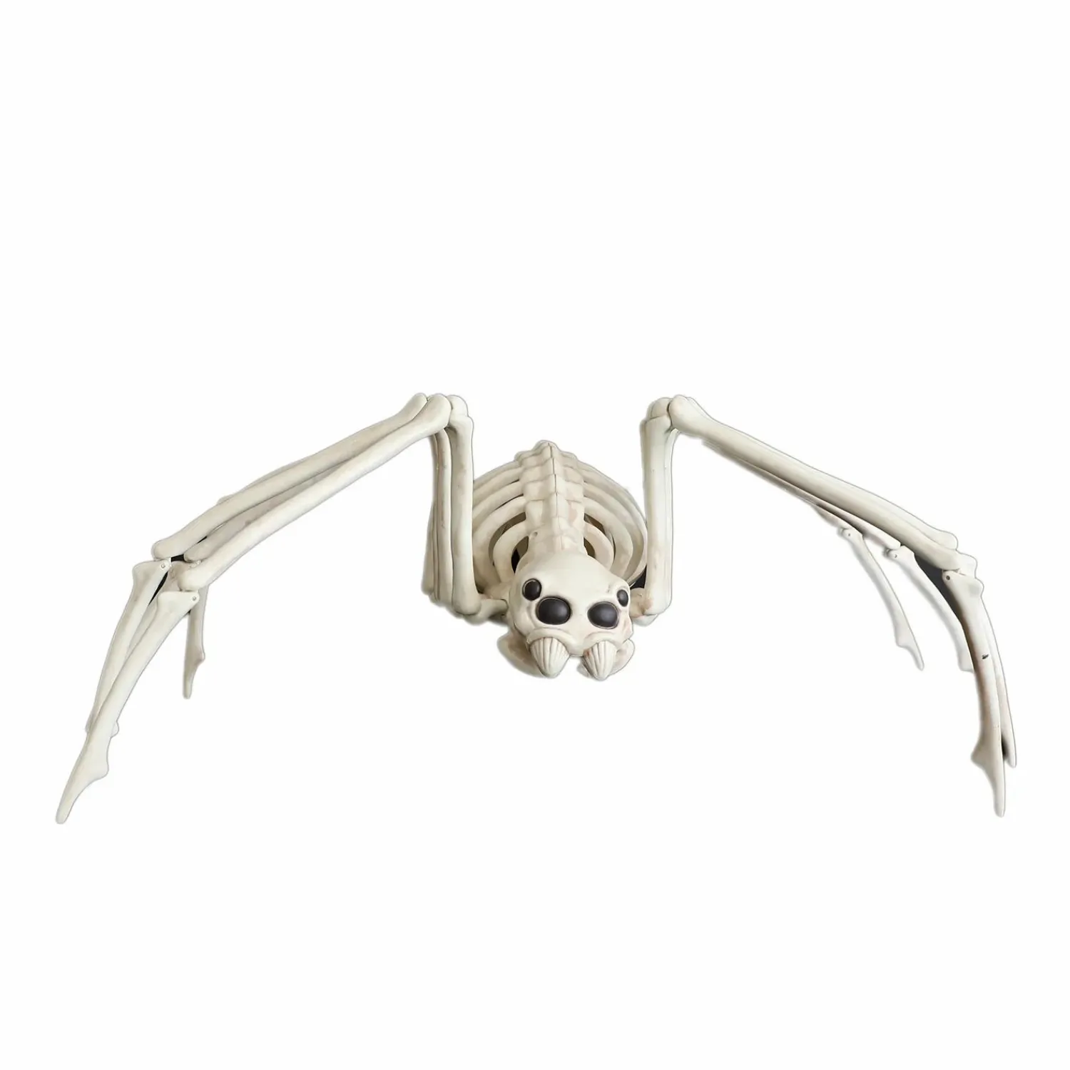 spider_skeleton___tall_0.webp Spider Skeleton - 9" Tall>Roger's Gardens Store