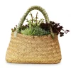 Succulents In Large Grass Purse>Roger's Gardens New