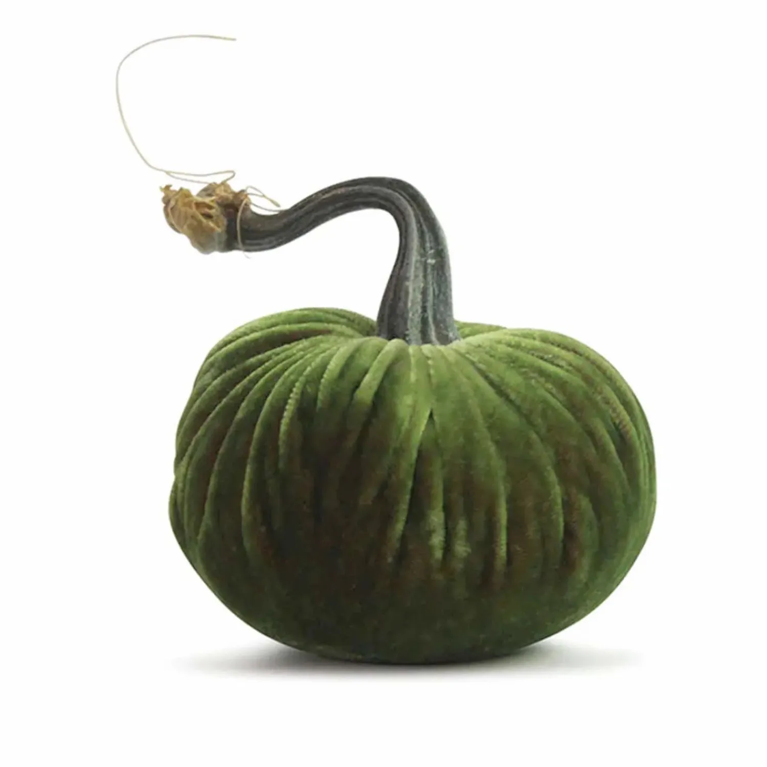 watermelon_velvet_pumpkin___tall_to__tall_0.webp Watermelon Velvet Pumpkin - 6" Tall To 13" Tall>Roger's Gardens Flash Sale