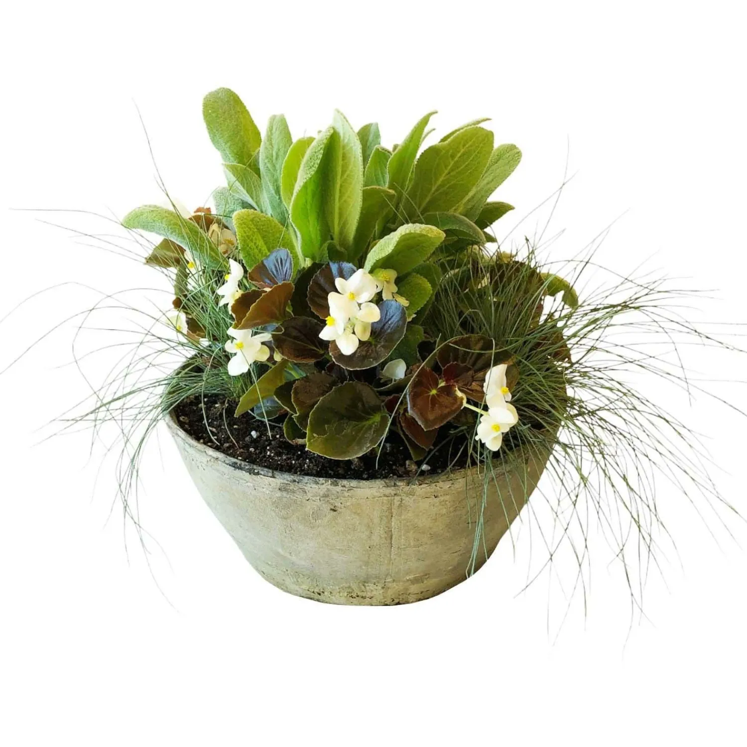 white_autumn_in_medium_whitestone_bowl_0.webp White Autumn In Medium Whitestone Bowl>Roger's Gardens Flash Sale