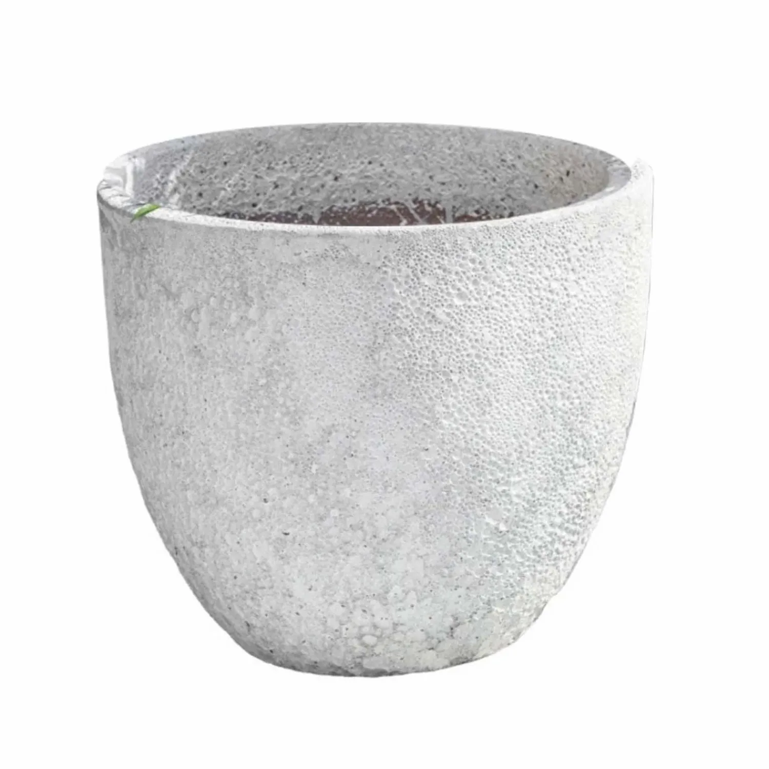 white_coral_caipirinha_planter_0.webp White Coral Caipirinha Planter>Roger's Gardens Fashion